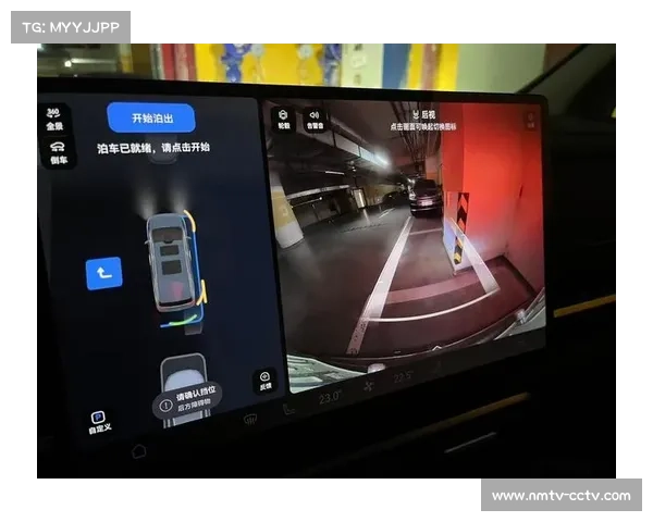 安全车与虚拟安全车频出,圣保罗站战术窗口复杂化 安全车与虚拟安全车频出,圣保罗站战术窗口复杂化