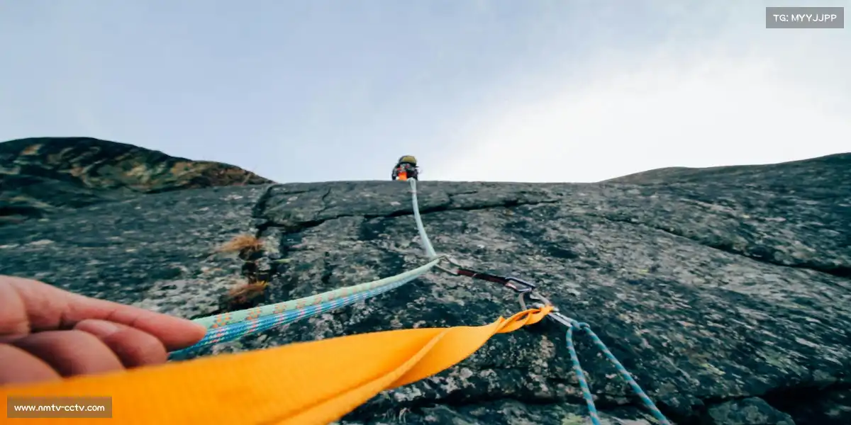 柠檬直播网页版——跑鞋亲吻大地，梦想触摸云端。🎇 🌠